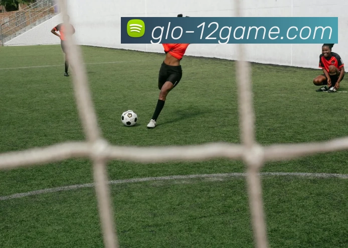 12博官网发展历程